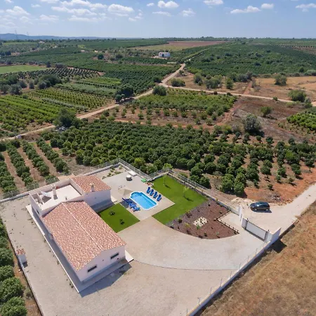 Dream House ألكانتيريا